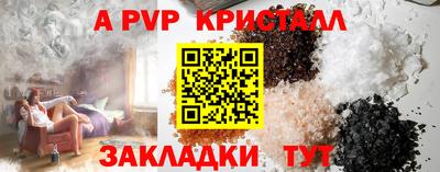 амф Кингисепп