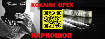 амф Кингисепп