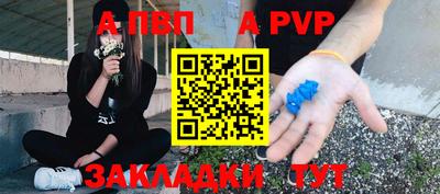 амф Кингисепп