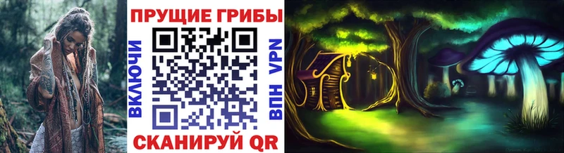 Галлюциногенные грибы MAGIC MUSHROOMS  mega ТОР  Донской  закладка 