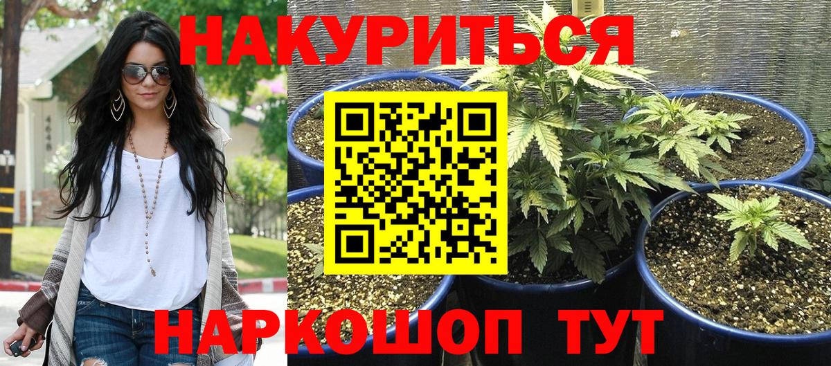 Шишки марихуана сатива Донской